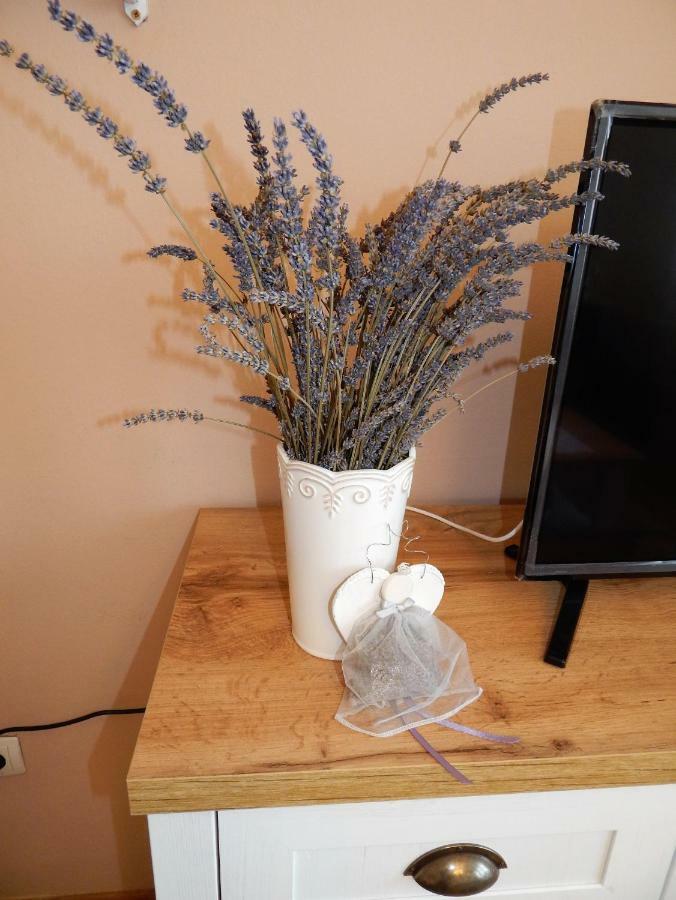 Studio Apartman Tvrtko Varaždin Eksteriør billede